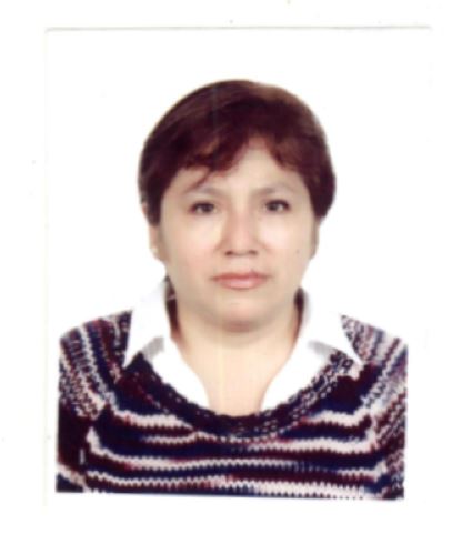Foto Auditor