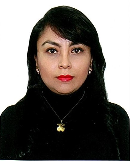 Foto Auditor