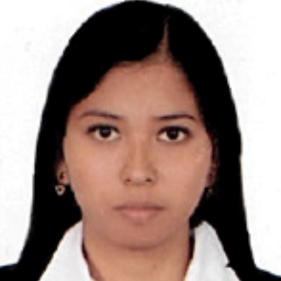 Foto Auditor