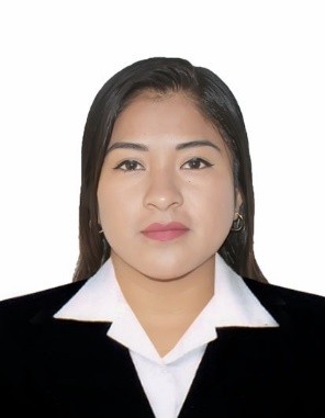Foto Auditor