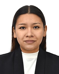 Foto Auditor
