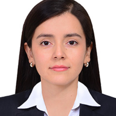 Foto Auditor
