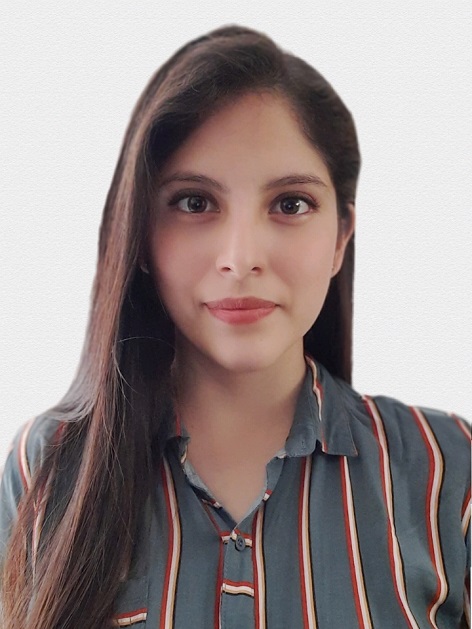 Foto Auditor
