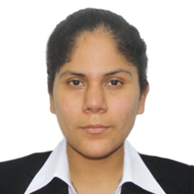 Foto Auditor