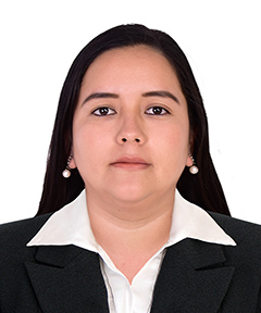 Foto Auditor